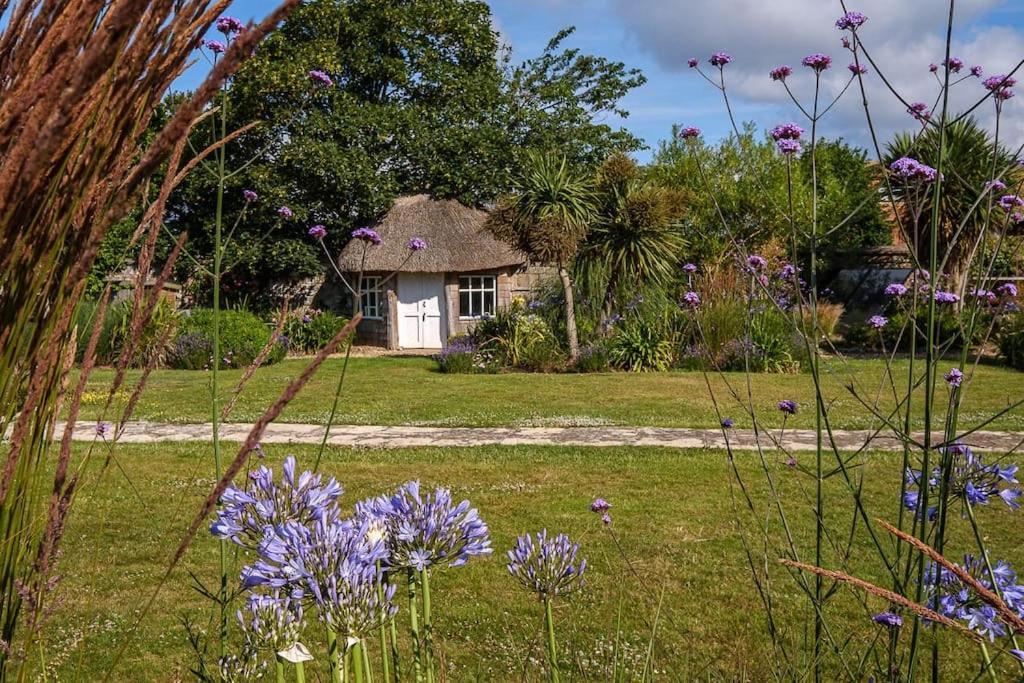 Villa The Beach House-Devon- On The Beach- Sleeps 20 Exmouth Exterior foto